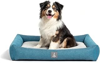 Sony Alpha ILCE-6700M APS-C Interchangeable-Lens Mirrorless Camera (Body + 18-135 mm Power Zoom Lens) | Made for Creators | 26.0 MP | Artificial Intelligence based Autofocus | 4K 60p Recording - Black